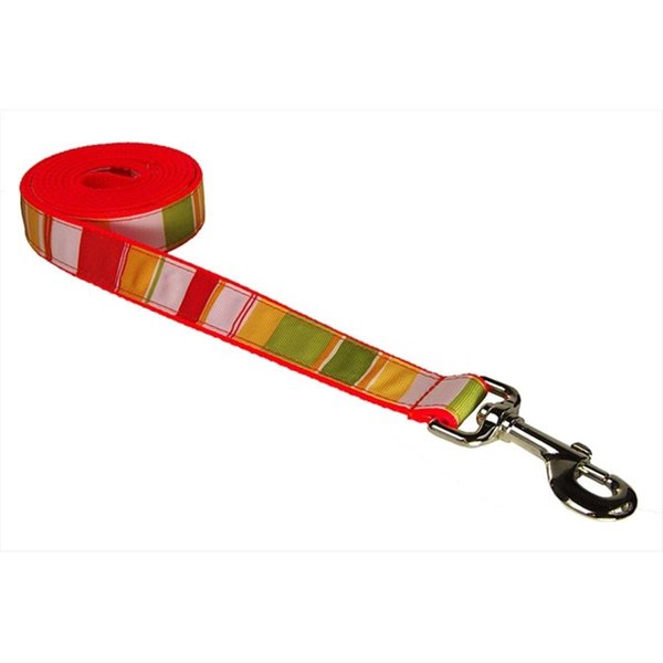 Flyfree STRIPE-ORANGE-MULTI2-L 4 ft. Multi Stripe Dog LeashOrange Small FL516666